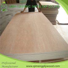 Poplar/Hardwood Core Bbcc Grade 15mm Bintangor Plywood with Cheap Price
